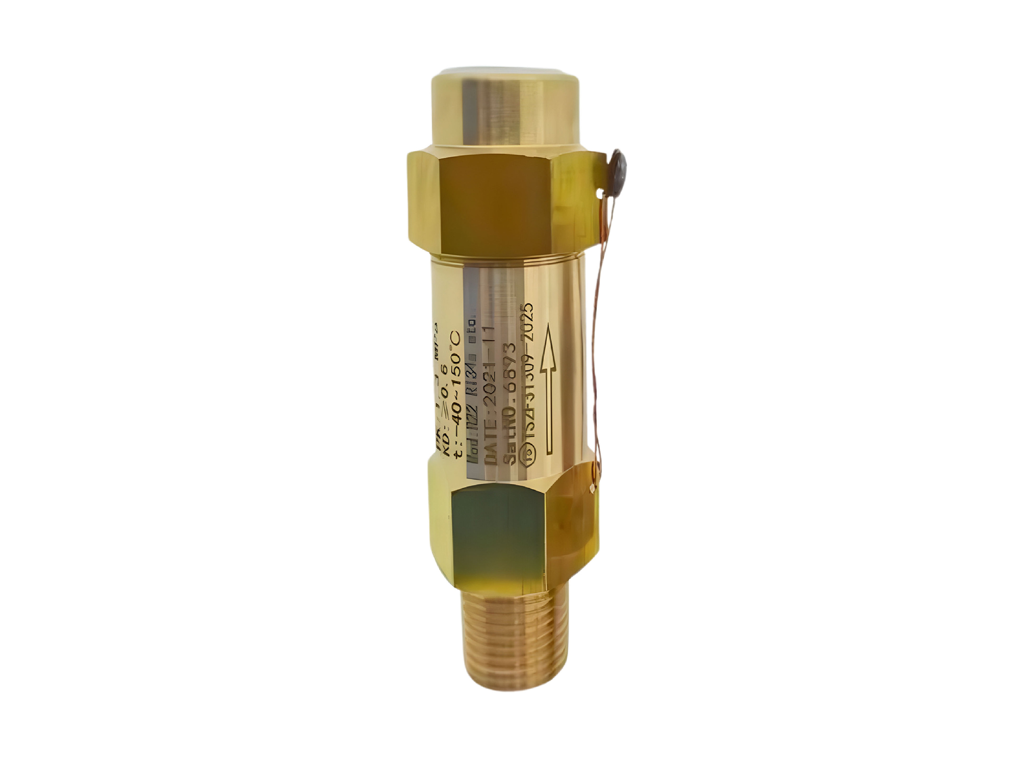 RVSF-22C300T Safety Valve Series