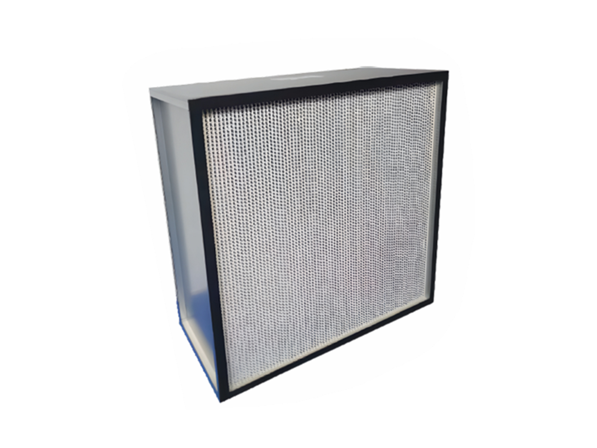 HEPA Filter with Separator RVFT-HFS